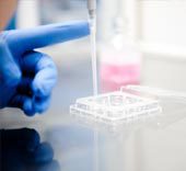science ivf success fertility science ivf success fertility